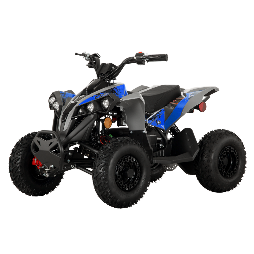 E-802 Electric Quad | Ages 6+ only | Featuring Speed Governor, Safety ...