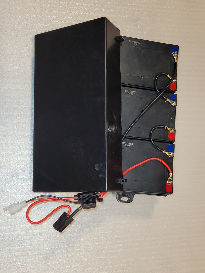 36v Battery Pack (inside protective case)
